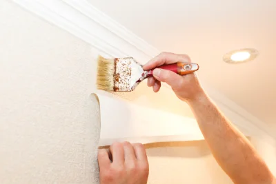 Pose de papier peint à Bio — revêtements muraux et toiles de verre